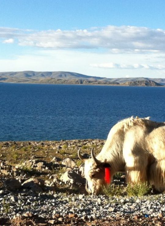 TIBET  TOUR